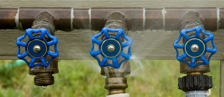 AQ-WaterConservationHome_body4