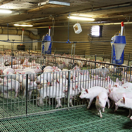 HurricaneSeason-ImageTemplatebody2